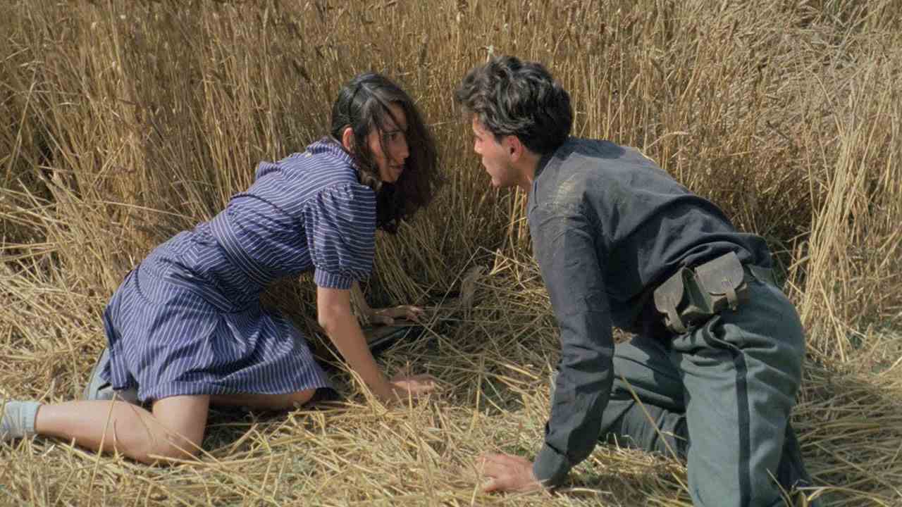 წმინდა ლორენცოს ღამე (15)