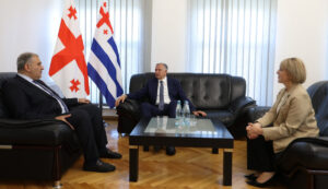 მიხეილ სარჯველაძე აჭარის ავტონომიური რესპუბლიკის მთავრობის თავმჯდომარესა და ჯანდაცვის მინისტრს შეხვდა