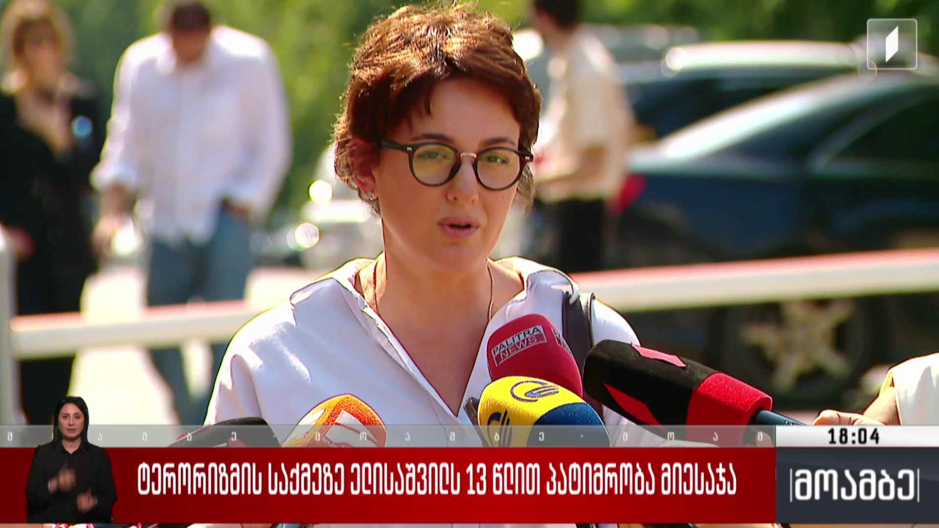ტერორიზმის საქმეზე ელისაშვილს 13 წლით პატიმრობა მიესაჯა - შეფასებები