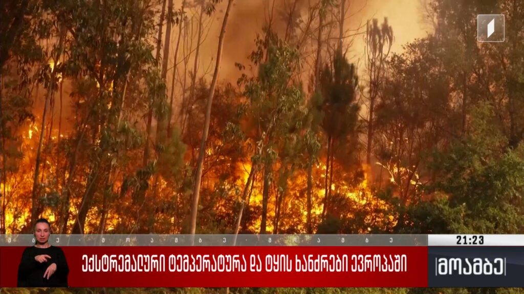 ექსტრემალური ტემპერატურა და ტყის ხანძრები ევროპაში
