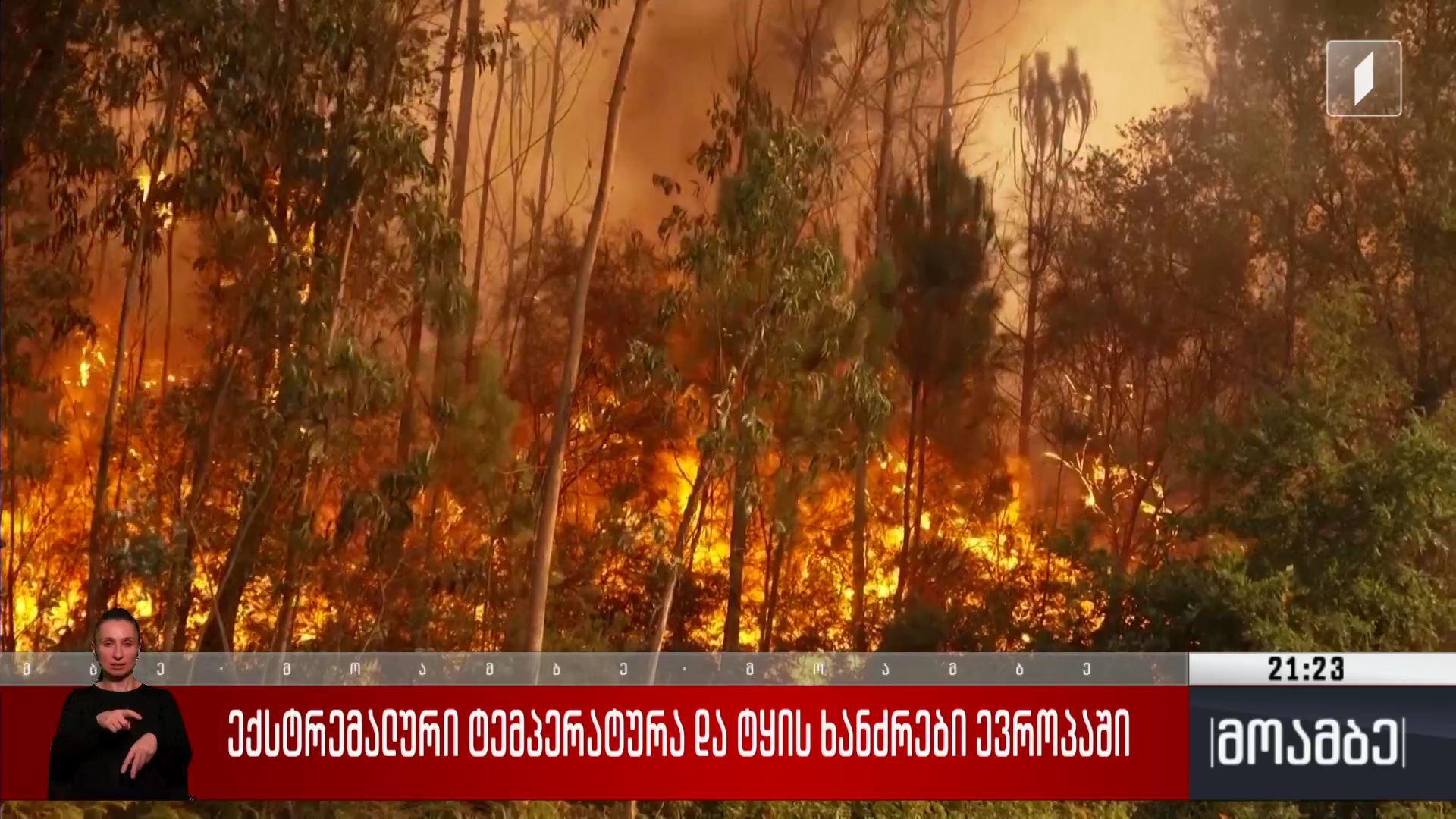 ექსტრემალური ტემპერატურა და ტყის ხანძრები ევროპაში