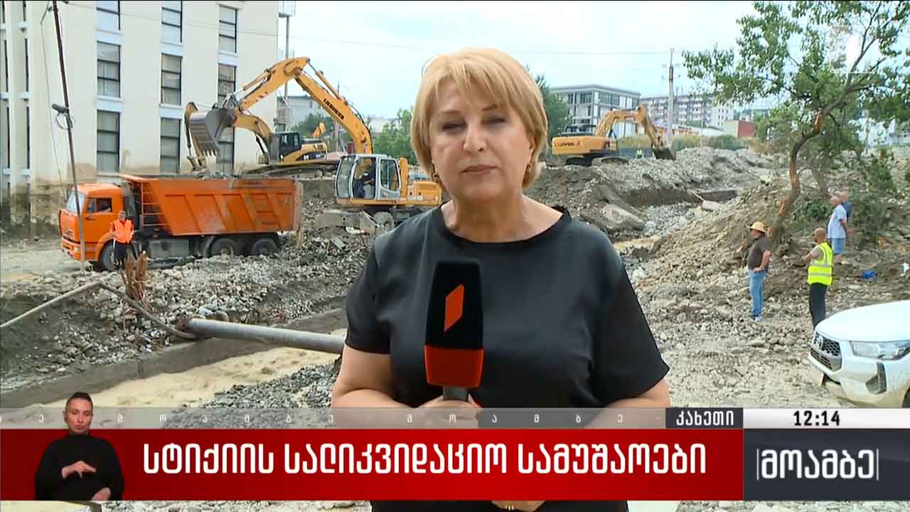 სტიქიის სალიკვიდაციო სამუშაოები თელავში