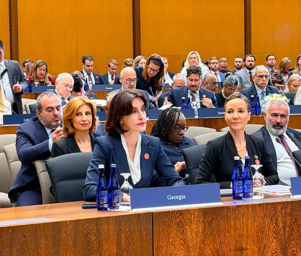 მაკა ბოჭორიშვილი – საფრთხე კიდევ უფრო სერიოზულ ხასიათის იძენს, როცა დემოკრატიული მანდატის არმქონე პოლიტიკური აქტორები უცხოური დაფინანსებით მოქმედებენ, საქართველოს გამოცდილება ამ გამოწვევის თვალსაჩინო მაგალითია