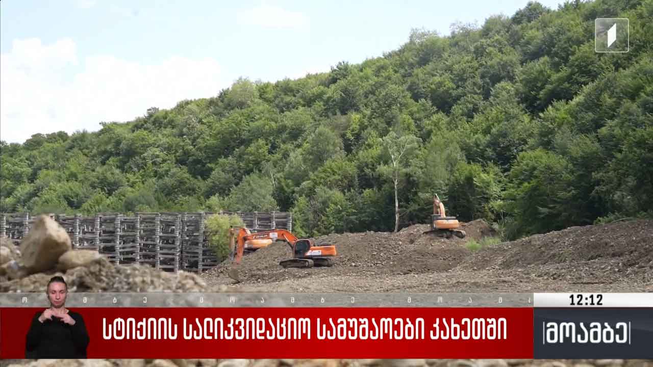სტიქიის სალიკვიდაციო სამუშაოები თელავში
