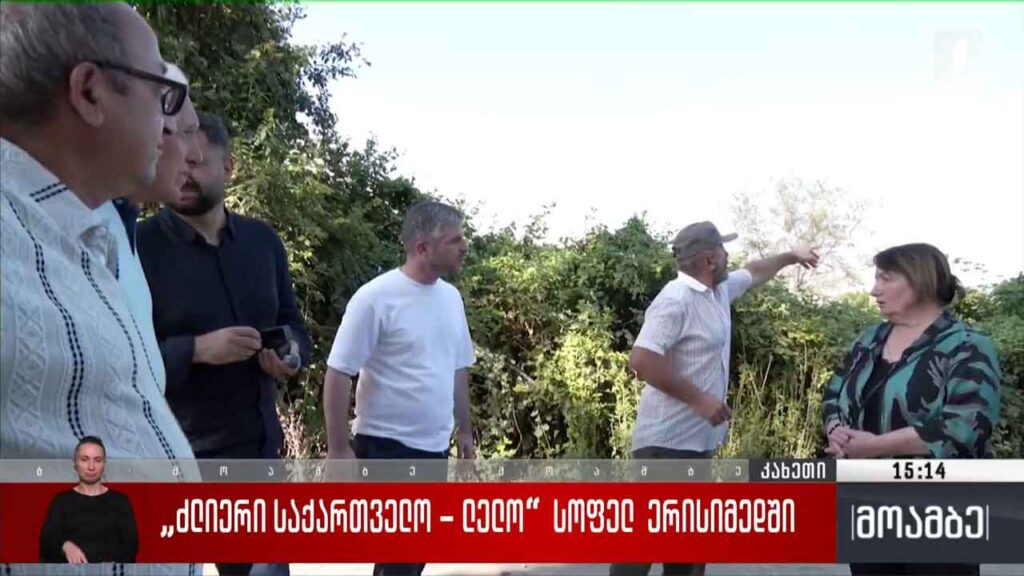 „ძლიერი საქართველო – ლელო“ სოფელ ერისიმედში