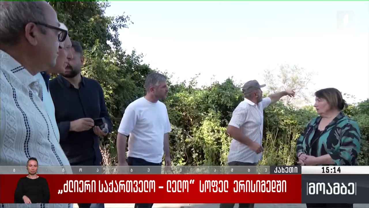 „ძლიერი საქართველო – ლელო“ სოფელ ერისიმედში