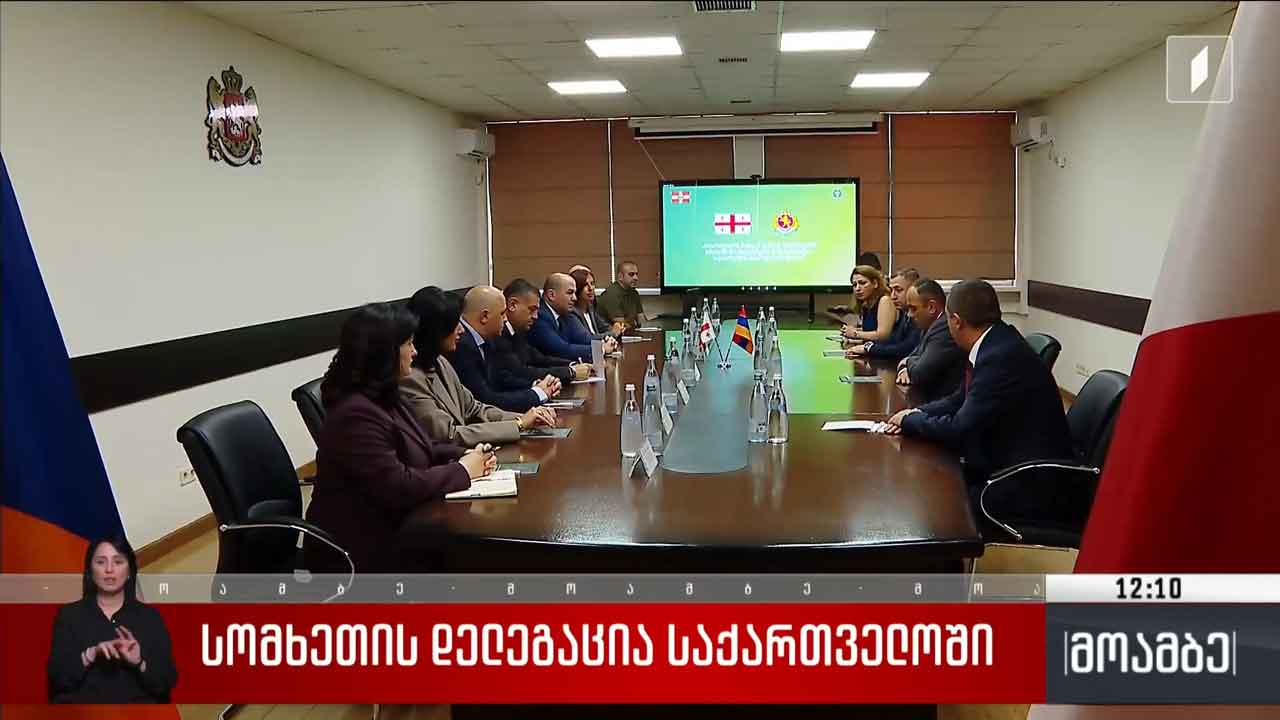 სომხეთის დელეგაცია საქართველოში