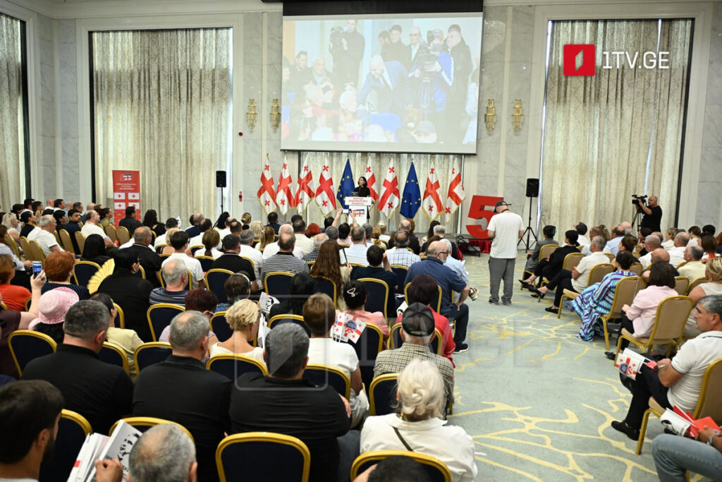 ანა წითლიძე – „ნაციონალური მოძრაობის“ მე-13 ყრილობიდან მივესალმები თანამედროვე ქართული სახელმწიფოს არქიტექტორს, პარტიის დამფუძნებელს და უპირობო ლიდერს, მიხეილ სააკაშვილს