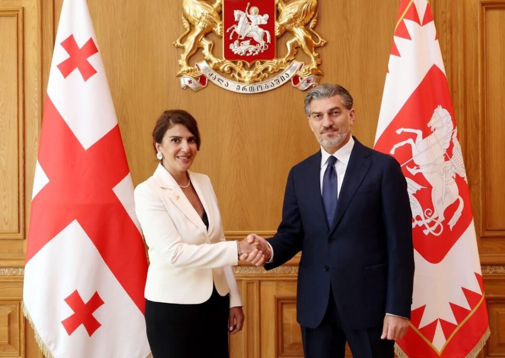 მიხეილ ყაველაშვილი მექსიკის შეერთებულ შტატებში საქართველოს ახლადდანიშნულ საგანგებო და სრულუფლებიან ელჩს, ნატალია კორძაიას შეხვდა