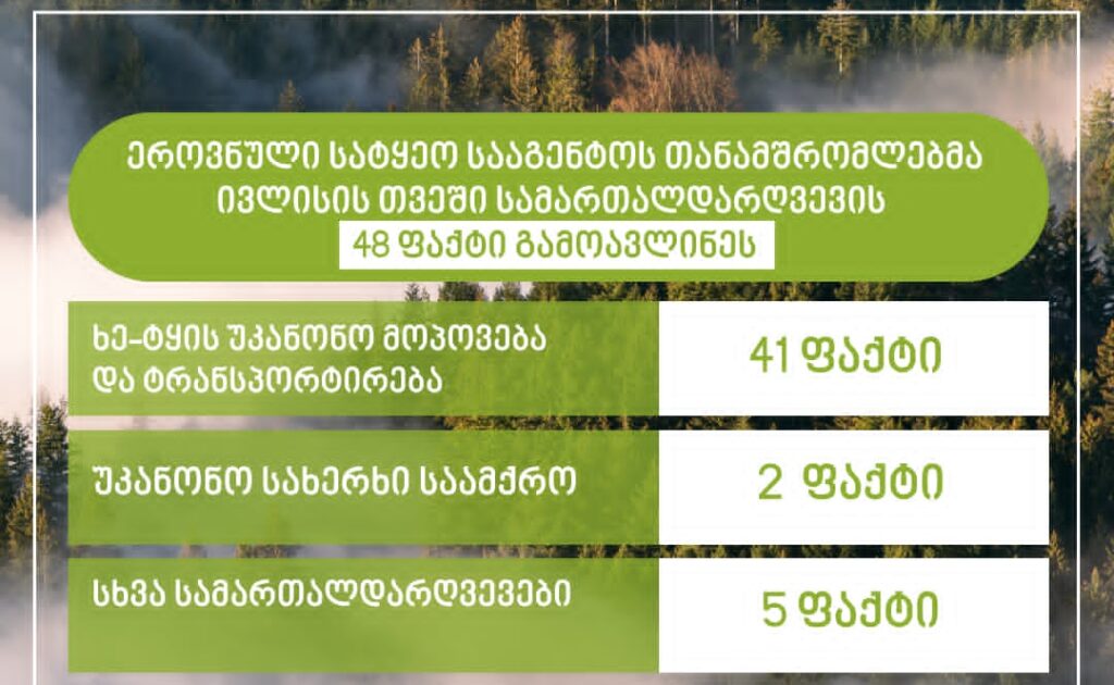 ეროვნულმა სატყეო სააგენტომ მიმდინარე წლის ივლისში სამართალდარღვევის 48 ფაქტი გამოავლინეს, საიდანაც 41 ფაქტი ხე-ტყის უკანონო მოპოვების შემთხვევაა