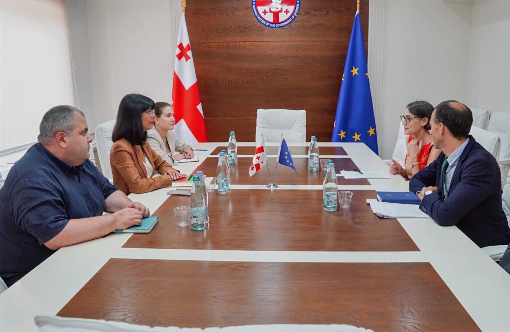 თეა ახვლედიანმა საქართველოში ევროკავშირის სადამკვირვებლო მისიის ხელმძღვანელთან, პატრიცია ბუგანისთან სამუშაო შეხვედრა გამართა