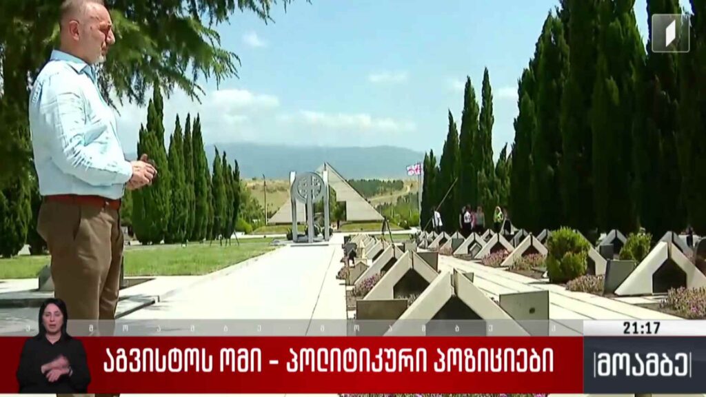 აგვისტოს ომი – პოლიტიკური პოზიციები 