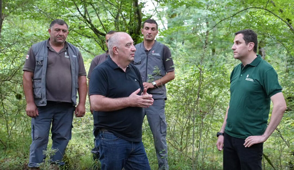 ეროვნული სატყეო სააგენტოს ინფორმაციით, იმერეთის რეგიონში ტყის აღდგენის ღონისძიებები დამატებით 94 ჰექტარზე განხორციელდება