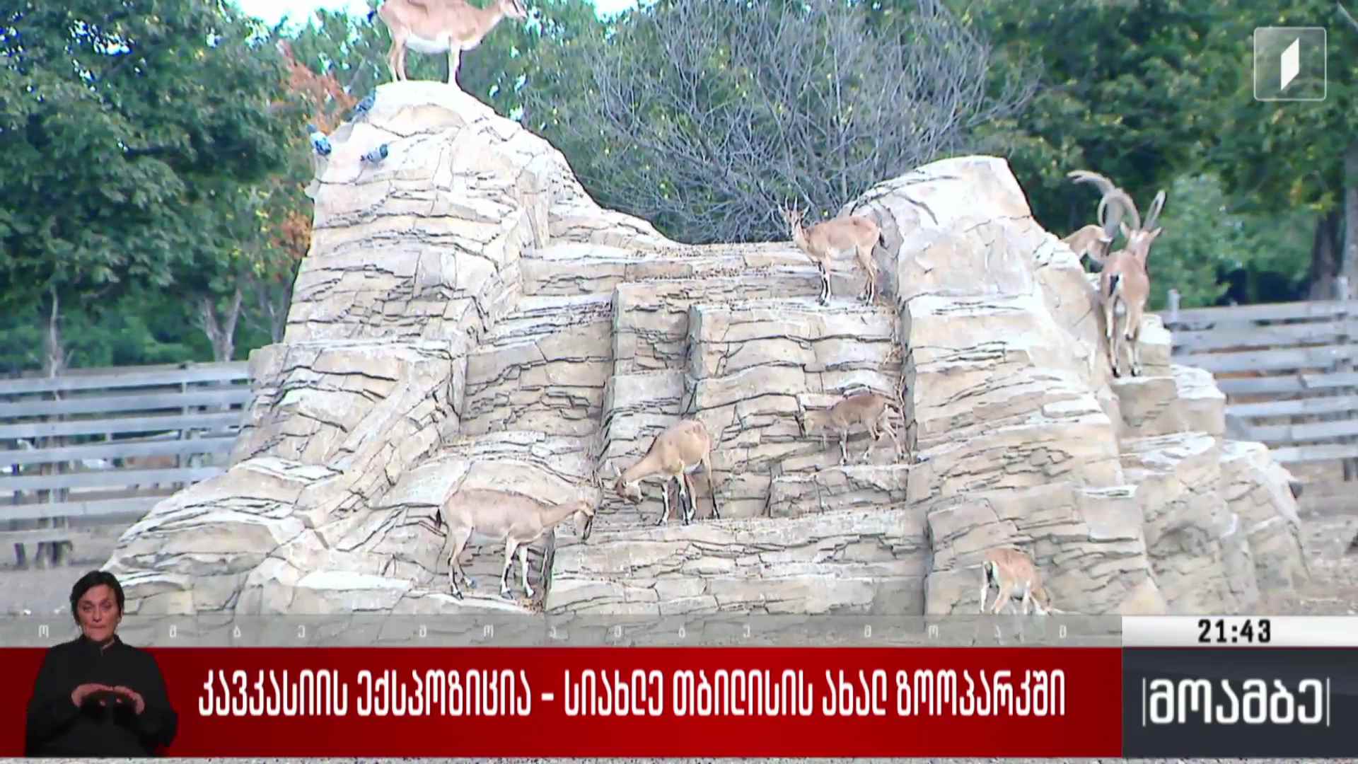 კავკასიის ექსპოზიცია - სიახლე თბილისის ახალ ზოოპარკში
