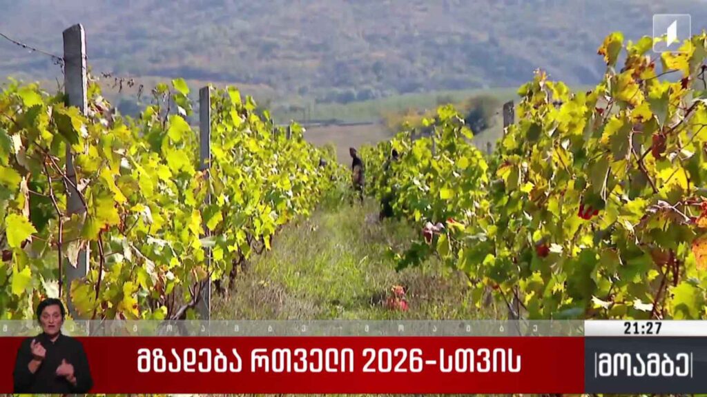 მზადება რთველი 2026-სთვის