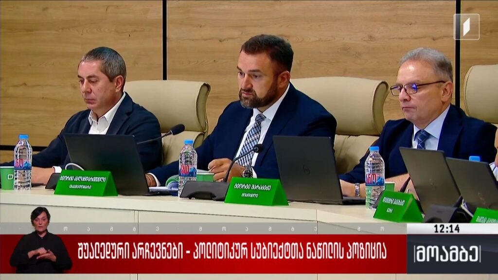 შუალედური არჩევნები – პოლიტიკურ სუბიექტთა ნაწილის პოზიცია