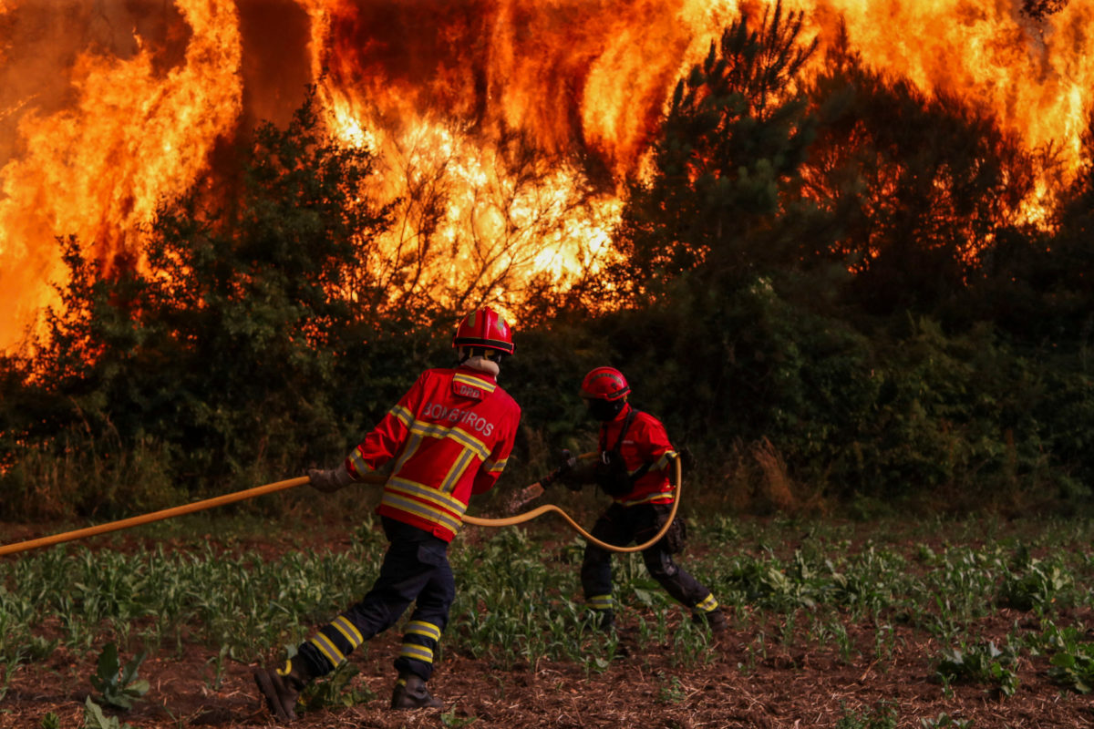 Firefighters work to prevent flames from advancing towards the village of Cercosa during a wildfire in Vouzela, Portugal, July 4, 2026. REUTERS/Pedro Rocha