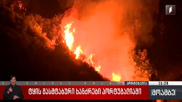 ტყის მასშტაბური ხანძრები პორტუგალიაში