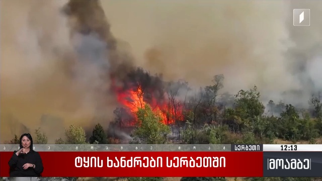 ტყის ხანძრები სერბეთში