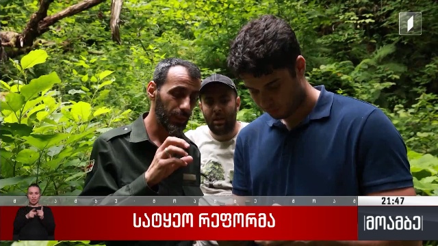 სატყეო რეფორმა