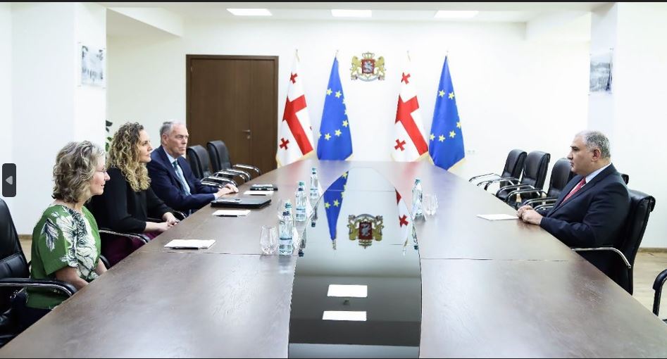 მიხეილ სარჯველაძე საერთაშორისო საქველმოქმედო ორგანიზაციის „სტრილინგის ფონდის“ ახლო აღმოსავლეთისა და ევროპის დირექტორს შეხვდა