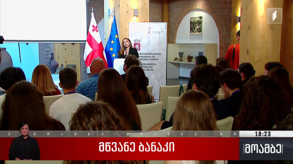 მწვანე ბანაკი