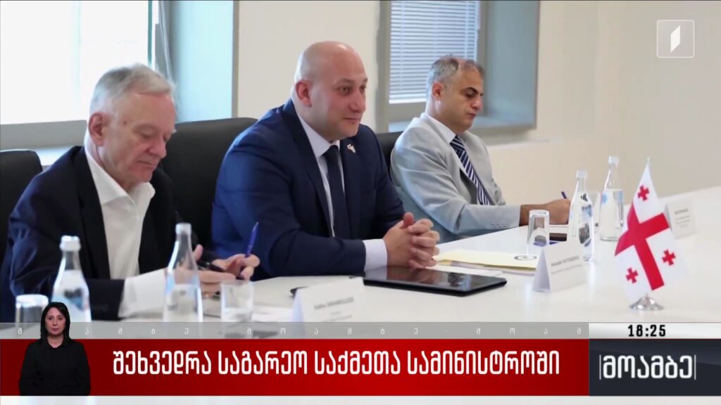 შეხვედრა საგარეო საქმეთა სამინისტროში