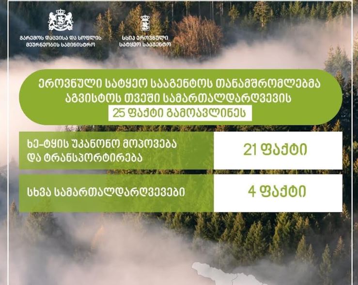 ეროვნული სატყეო სააგენტოს თანამშრომლებმა აგვისტოში ხე-ტყის უკანონო მოპოვების 21 ფაქტი გამოავლინეს