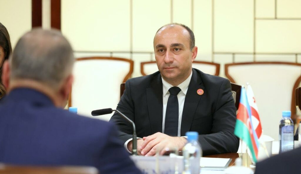 ჩინეთში ოფიციალური ვიზიტის ფარგლებში გეკა გელაძე ალი ნაგიევს შეხვდა