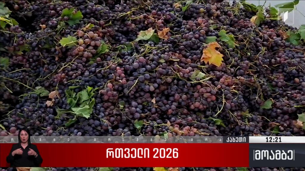 რთველი 2026
