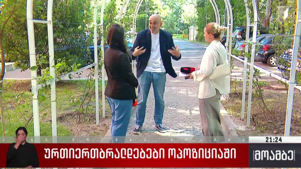 ურთიერთბრალდებები ოპოზიციაში 