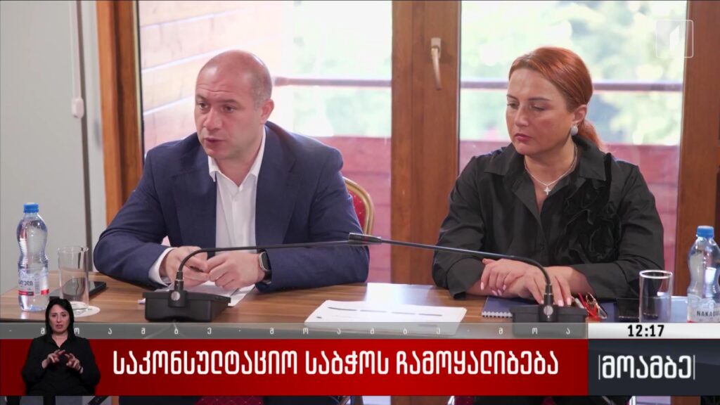 საკონსულტაციო საბჭოს ჩამოყალიბება