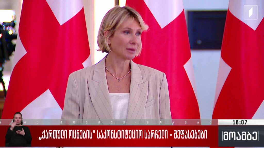„ქართული ოცნების“ საკონსტიტუციო სარჩელი – შეფასებები