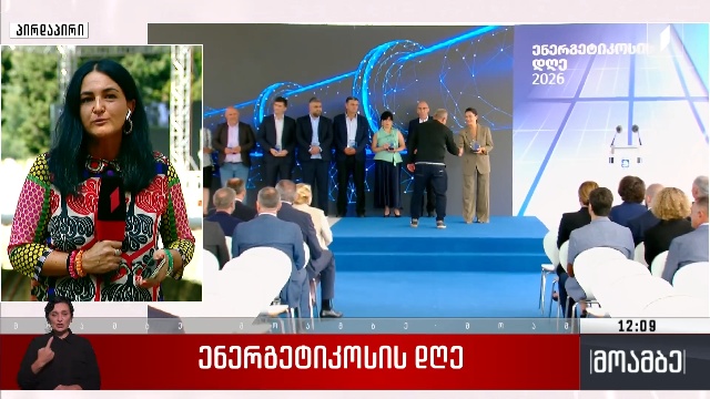 ენერგეტიკოსის დღე