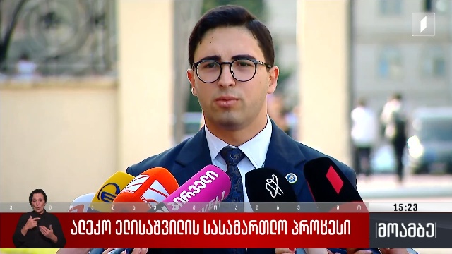 ალეკო ელისაშვილის სასამართლო პროცესი