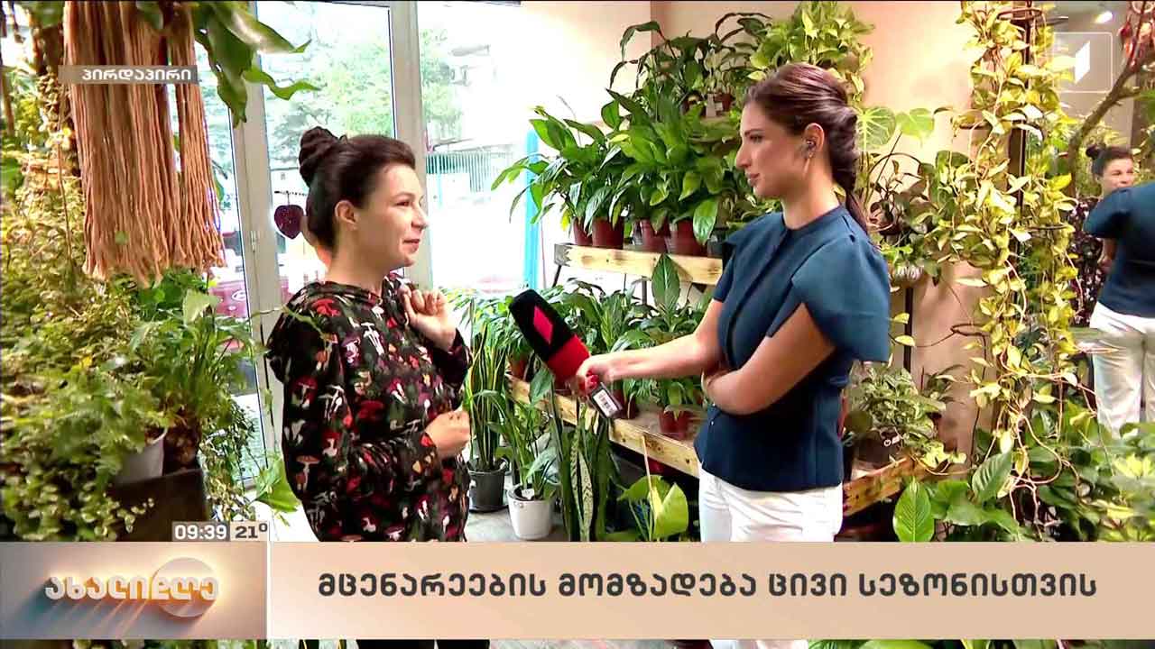 მცენარეების მომზადება ცივი სეზონისთვის