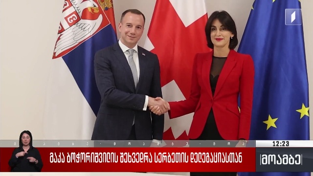 მაკა ბოჭორიშვილის შეხვედრა სერბეთის დელეგაციასთან