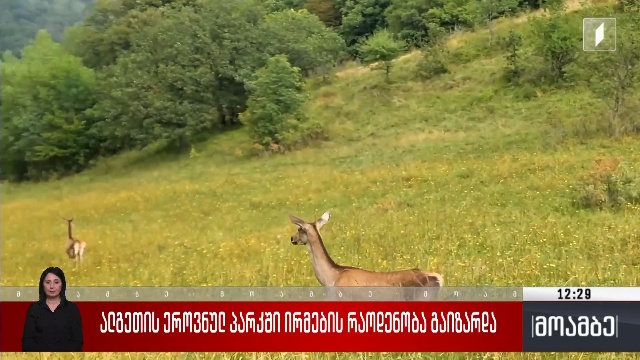 ალგეთის ეროვნულ პარკში ირმების რაოდენობა გაიზარდა