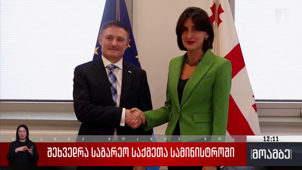 შეხვედრა საგარეო საქმეთა სამინისტროში
