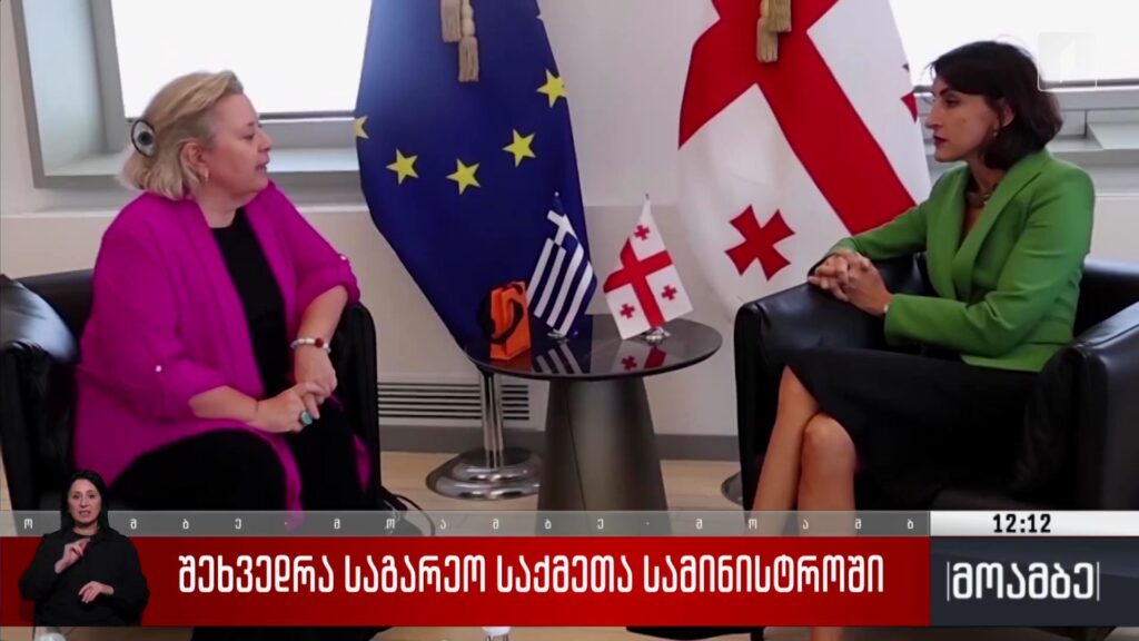 შეხვედრა საგარეო საქმეთა სამინისტროში