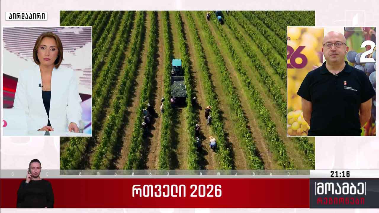 რთველი 2026 - ლევან მეხუზლა სტუმრად „მოამბე-რეგიონებში“