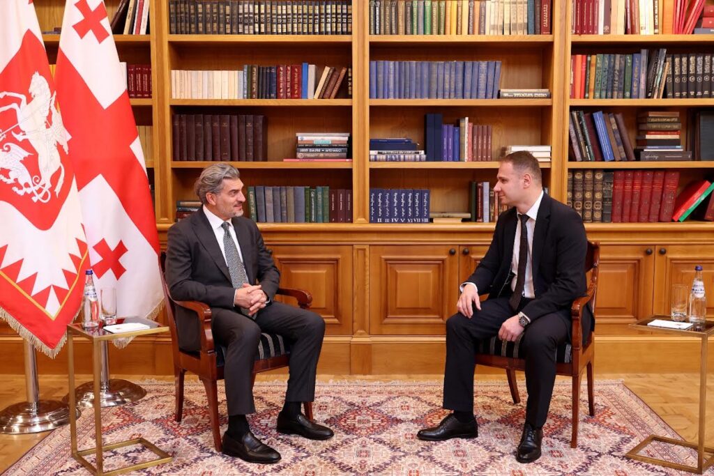 მიხეილ ყაველაშვილმა საკონსტიტუციო სასამართლოს მოსამართლედ გოგა კიკილაშვილი დანიშნა