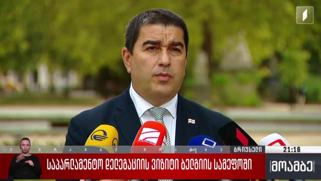საპარლამენტო დელეგაციის ვიზიტი ბელგიის სამეფოში 