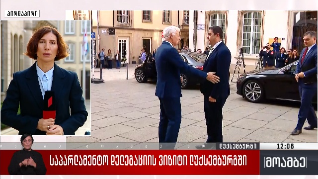 საპარლამენტო დელეგაციის ვიზიტი ლუქსემბურგში