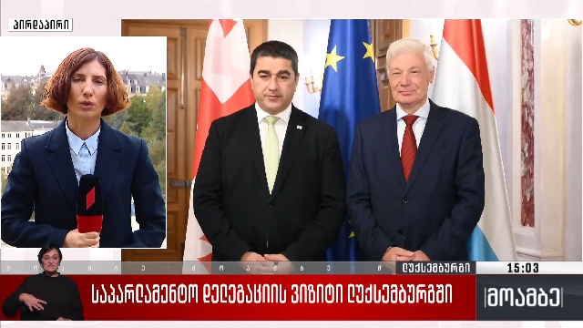 საპარლამენტო დელეგაციის ვიზიტი ლუქსემბურგში