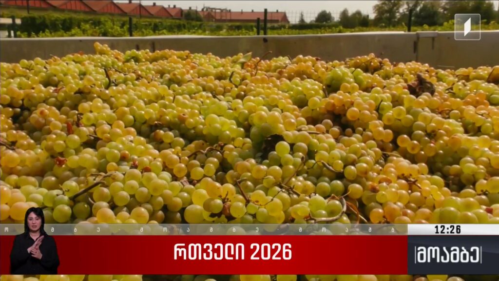 რთველი 2026