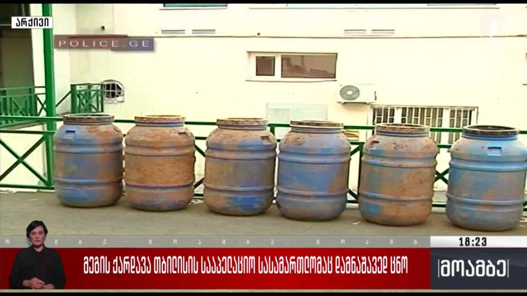 მეგის ქარდავა თბილისის სააპელაციო სასამართლომაც დამნაშავედ ცნო