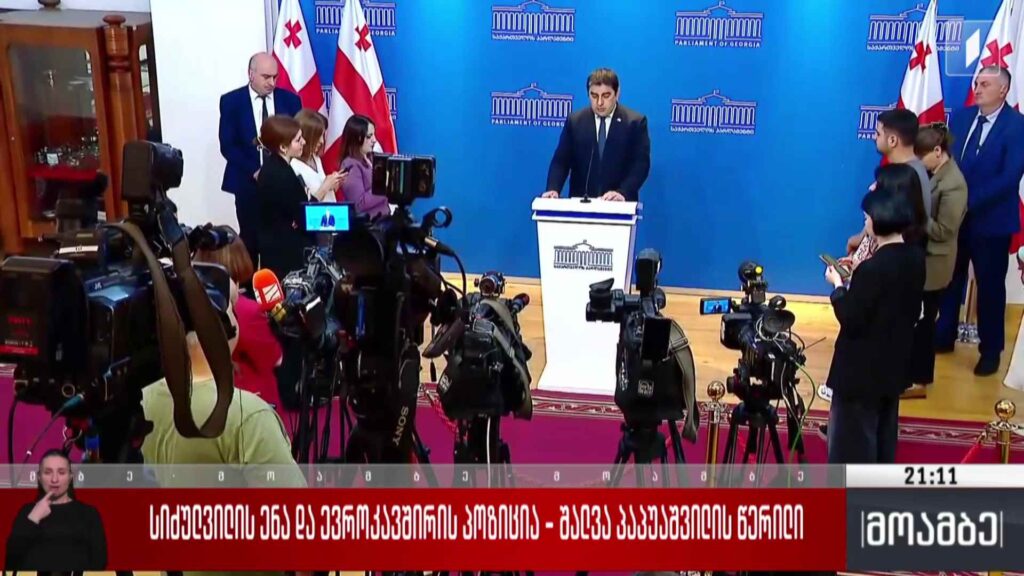 სიძულვილის ენა და ევროკავშირის პოზიცია – შალვა პაპუაშვილის წერილი 