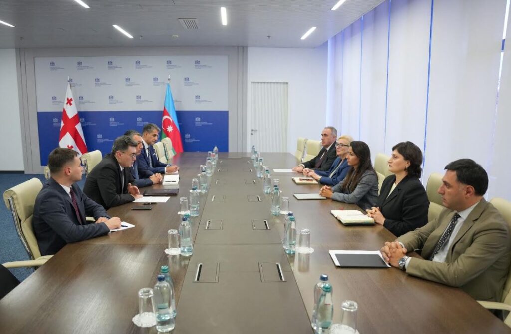 მარიამ ქვრივიშვილი აზერბაიჯანის ენერგეტიკის მინისტრის მოადგილეს შეხვდა