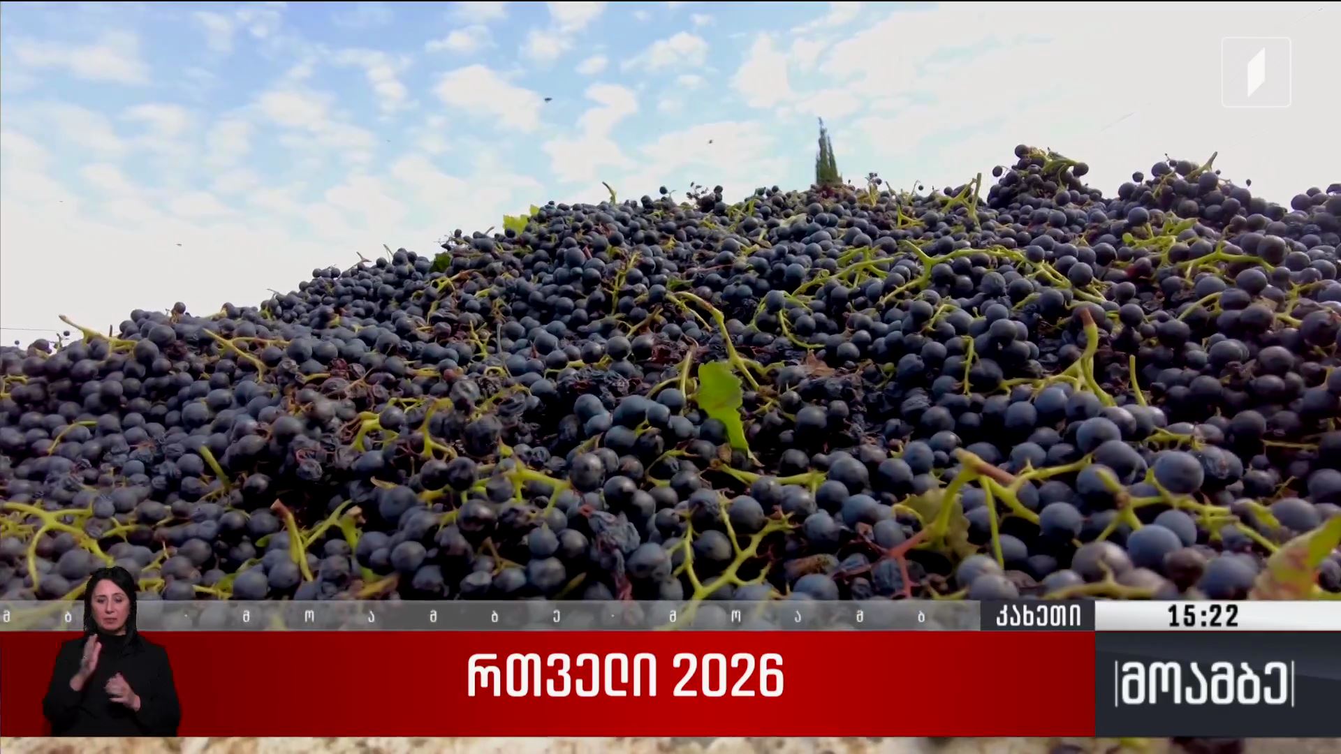 „რთველი 2026“